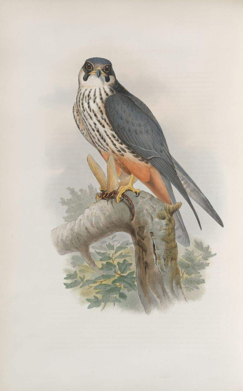 HobbyHjørnet ApS - Image 13